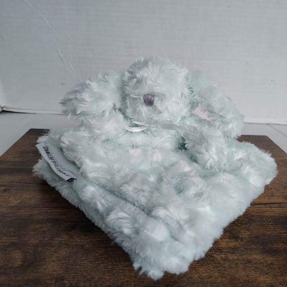 Blankets & Beyond Green Bunny Lovey Blanket Security Blanket Stuffy - Picture 1 of 17